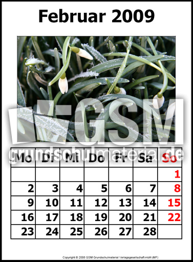 2-Kalender-N-09-Februar.jpg